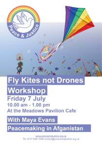 Flyer Fly Kites not Drones